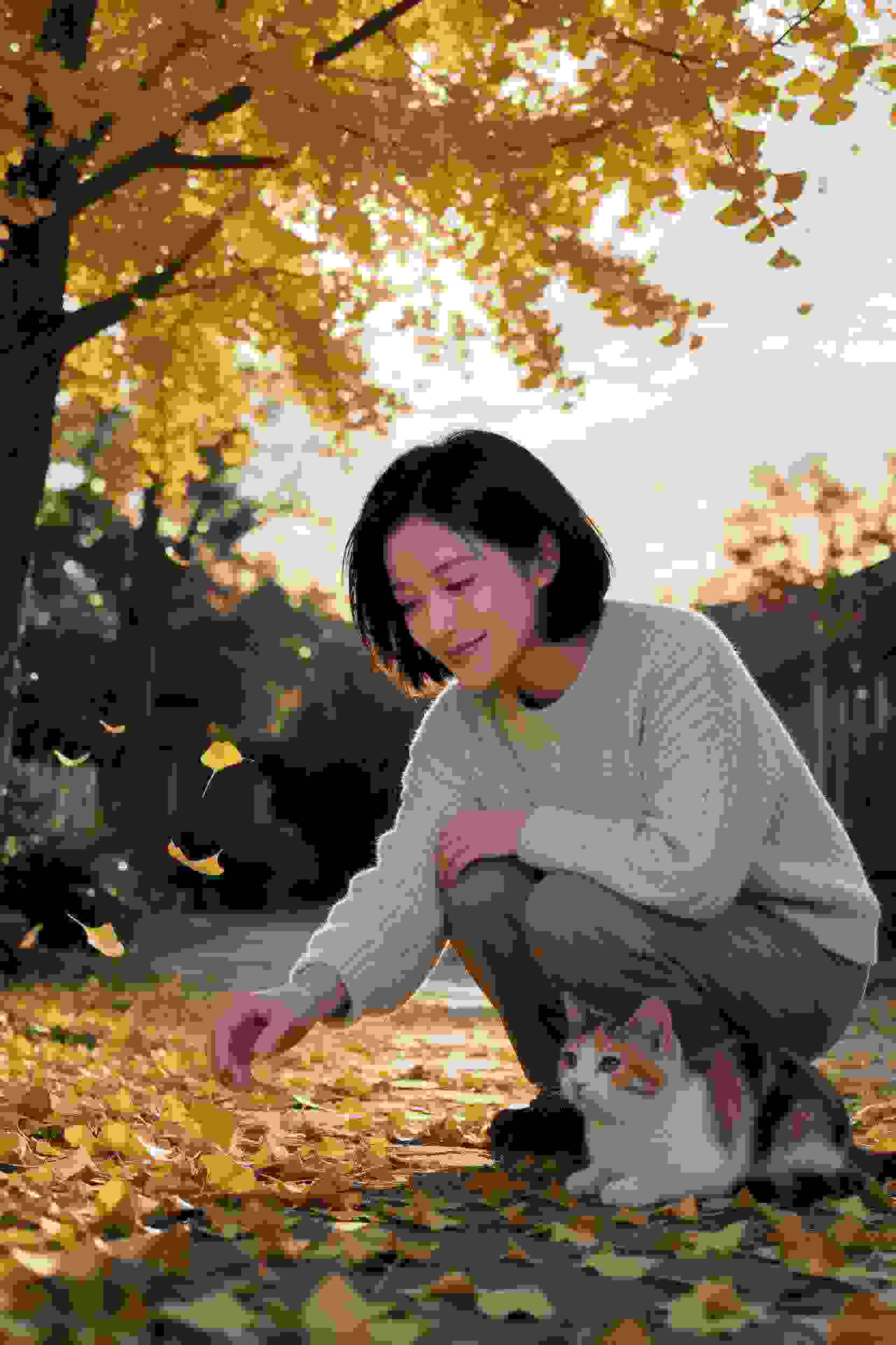 狐妖小红娘